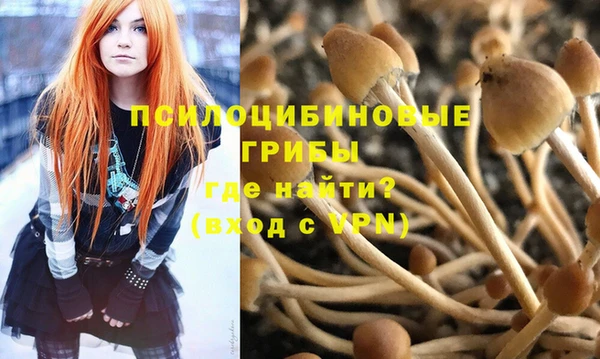 трава Арсеньев