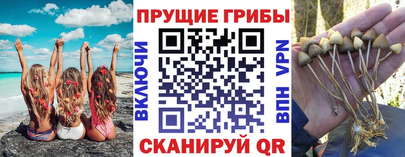 Галлюциногенные грибы прущие грибы  Россошь 